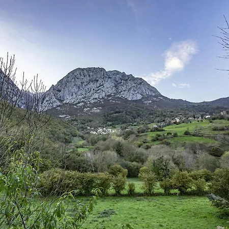 Aguas Bosque